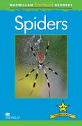 Spiders